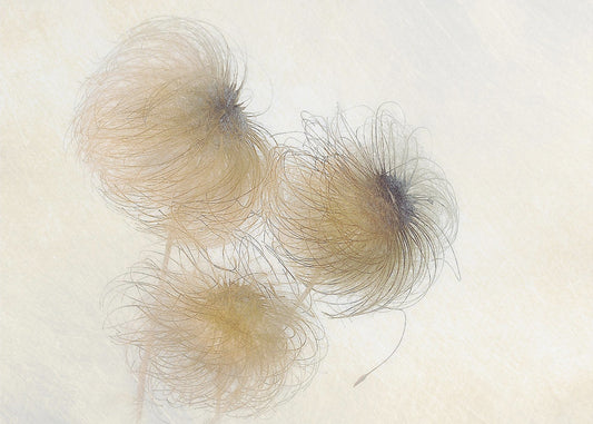 In the wind | Canvas