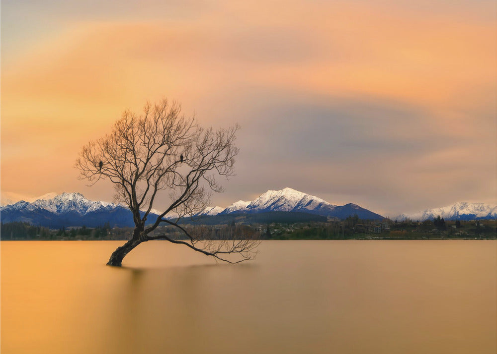 Morning glow of the Lake Wanaka | Poster