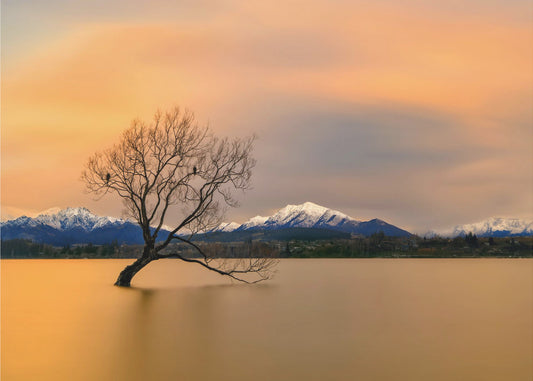 Morning glow of the Lake Wanaka | Poster