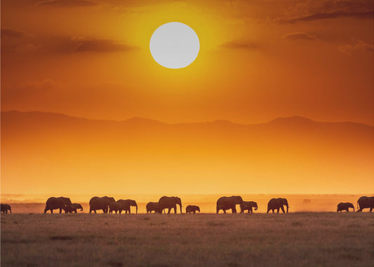 Sunrise parade | Wallpaper