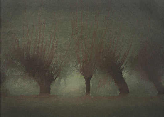 River landscape | Canvas