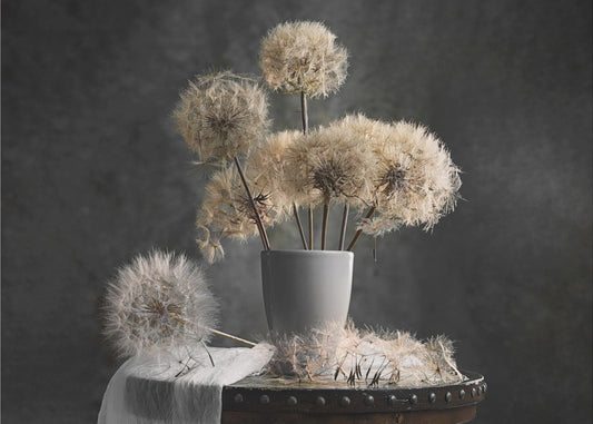 Dandelion Seed Pod | Poster