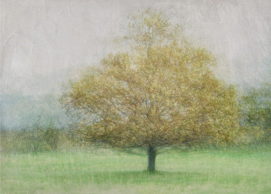 Solitaire | Wallpaper