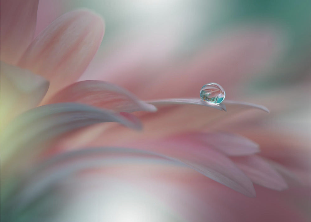 Sunbeam..II | Wallpaper