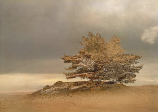 Pine and dunes | Canvas