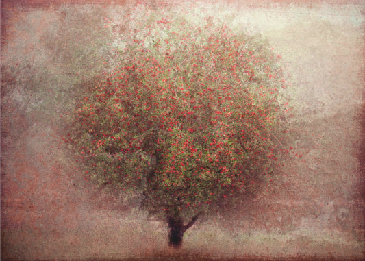 Apple tree | Poster