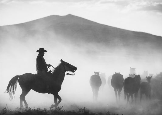 His Territory! | Poster