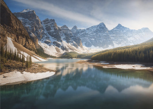 An old friend. | Poster