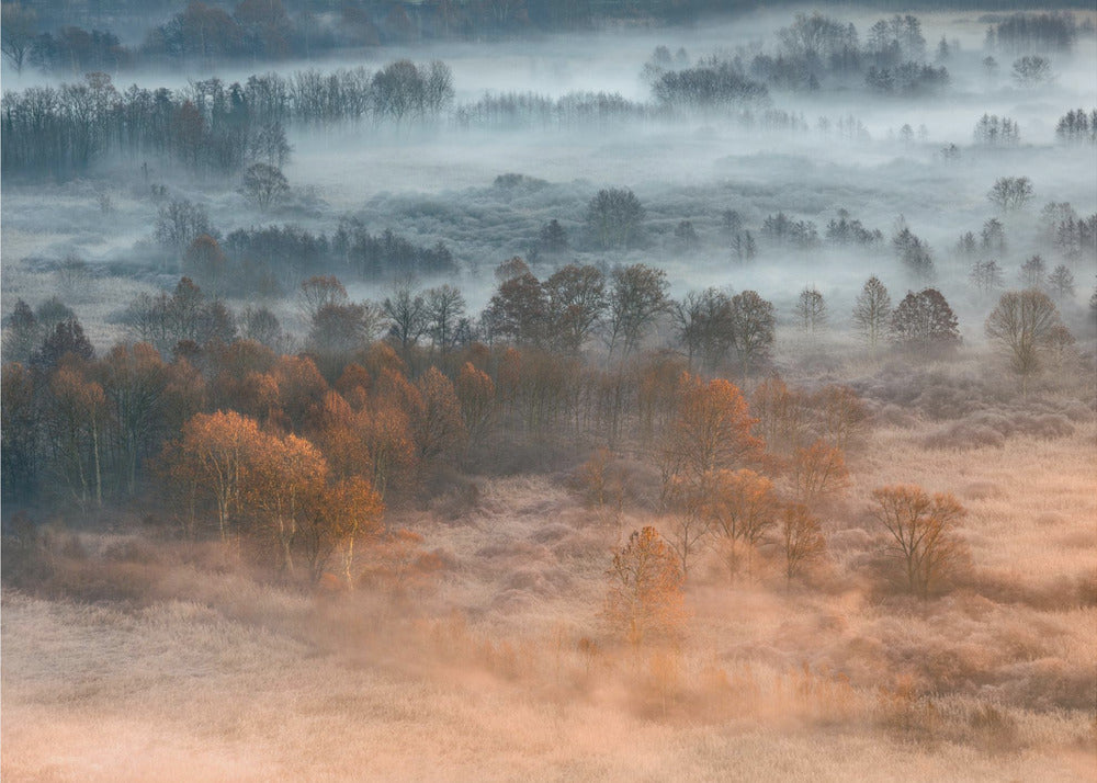 Autumnal misty dawn | Wallpaper