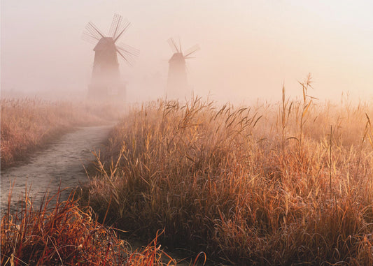 Morning mist | Poster