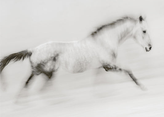 The unique brush stroke | Poster