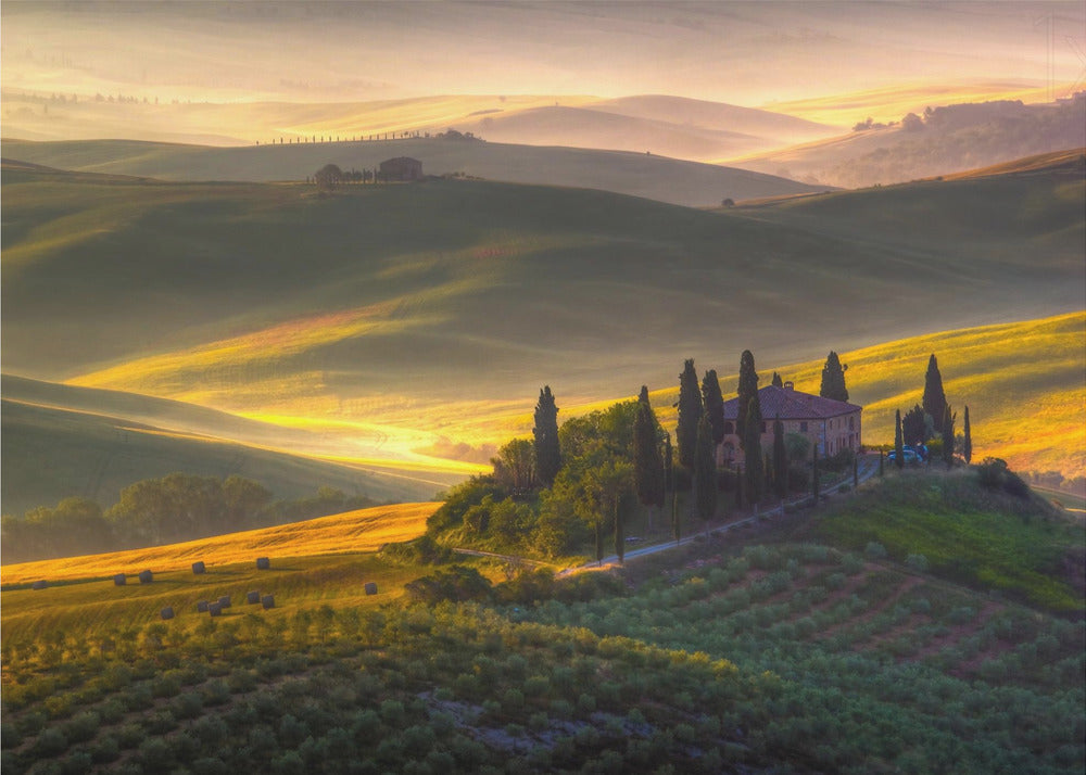 Of green and gold | Poster