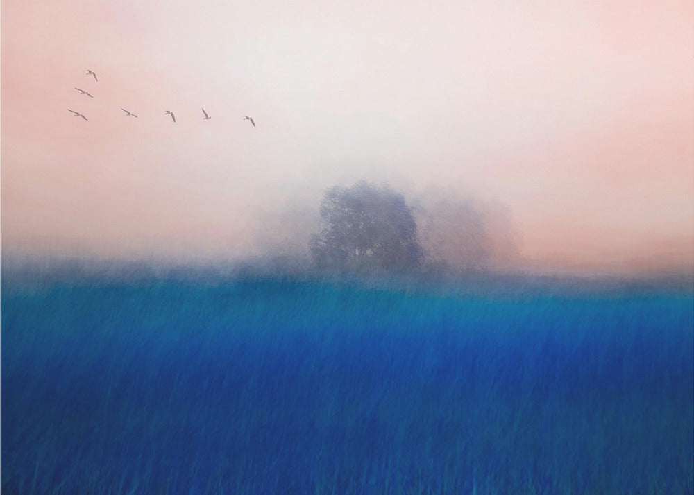 The Tree on the Blue | Poster