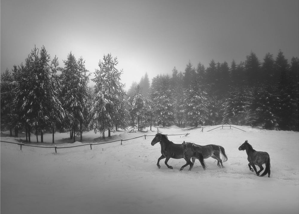 Untitled | Wallpaper