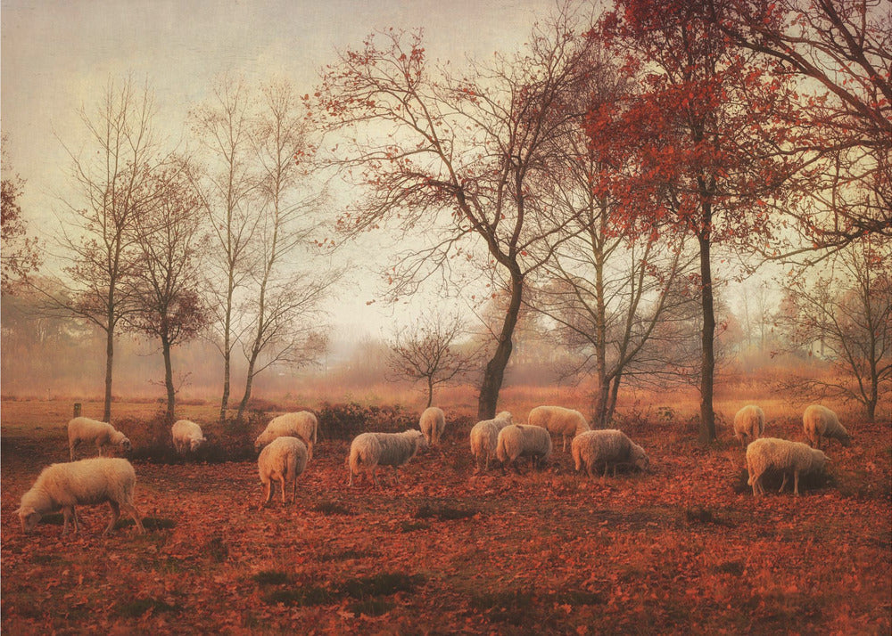 Last days of autumn | Wallpaper