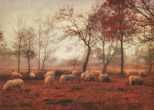 Last days of autumn | Wallpaper