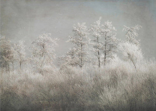 Cold morning | Canvas