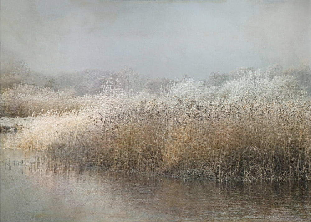 Wintermorning | Poster