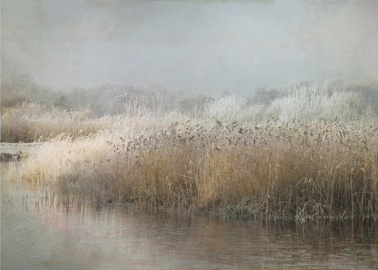 Wintermorning | Poster