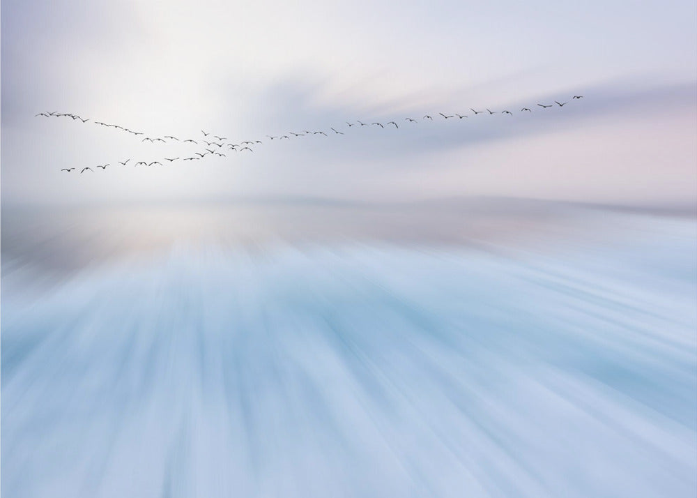 fly over | Wallpaper