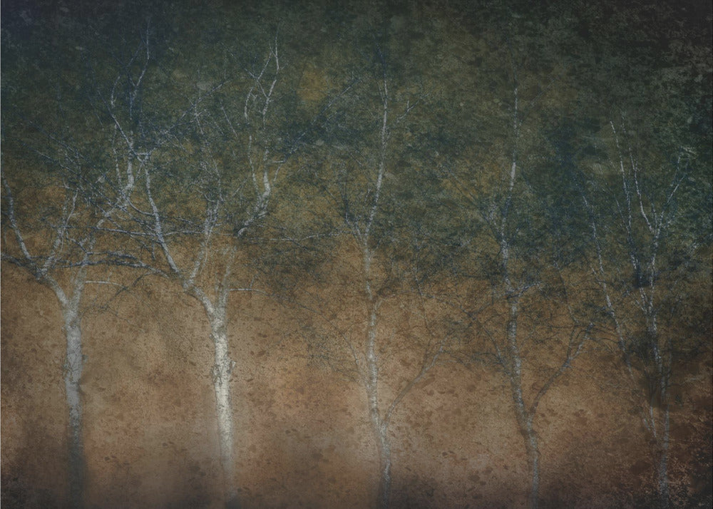 Five in a row | Canvas