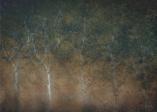 Five in a row | Canvas