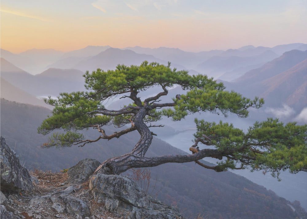 When the Day Breaks | Poster