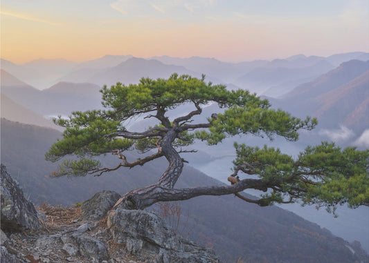 When the Day Breaks | Canvas