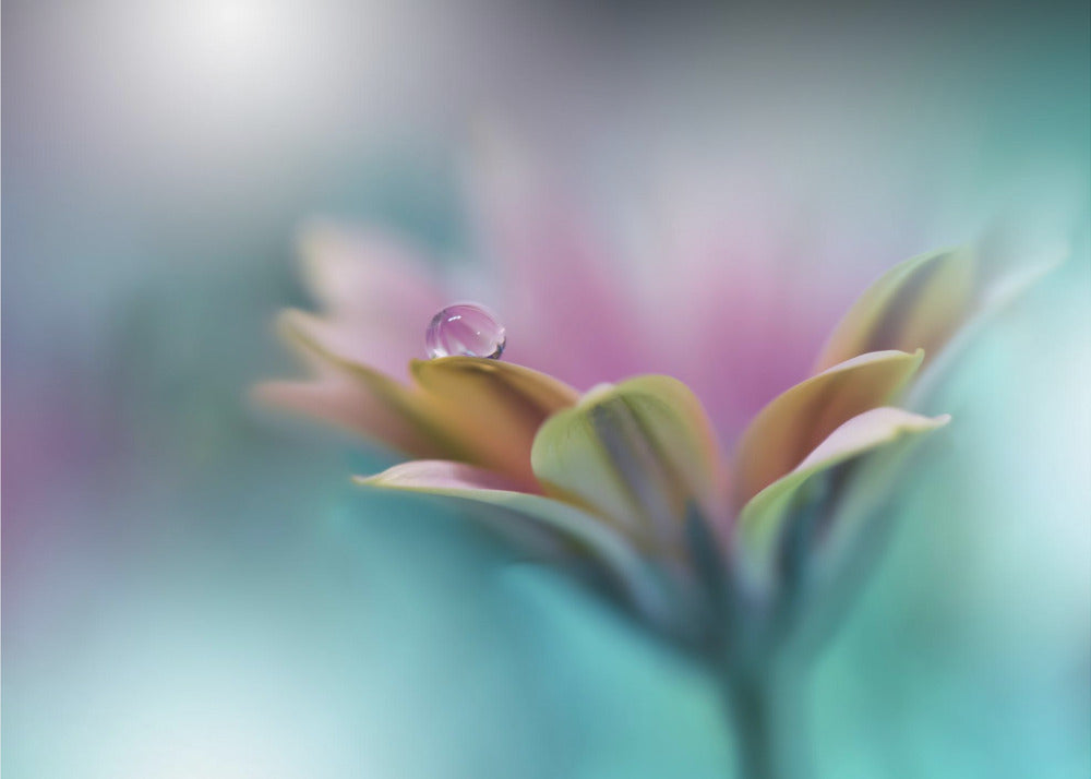 Memories of Sea.. | Wallpaper