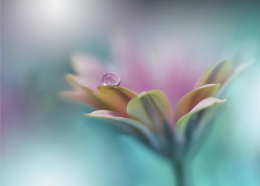 Memories of Sea.. | Wallpaper