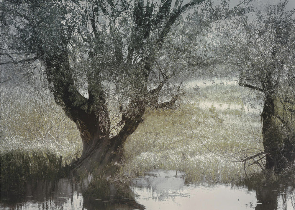 On the water side | Poster