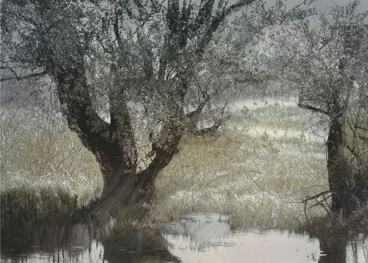 On the water side | Canvas