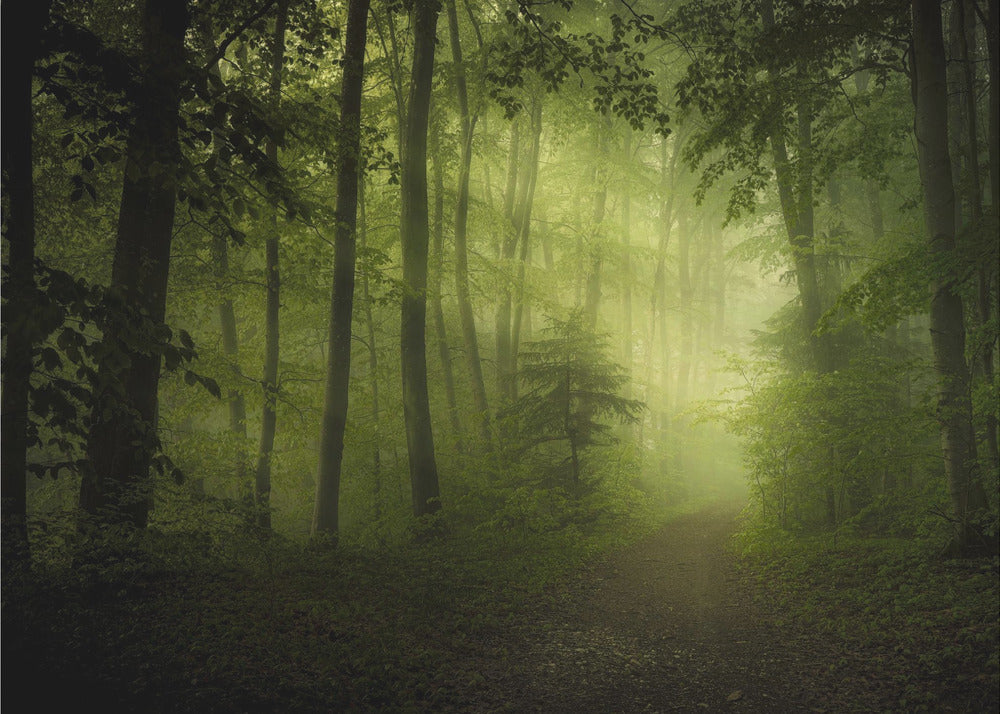 spring secret | Wallpaper