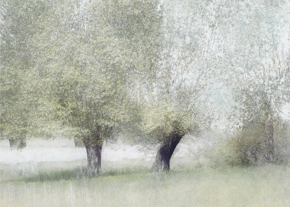 Young green | Canvas