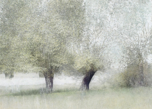 Young green | Canvas