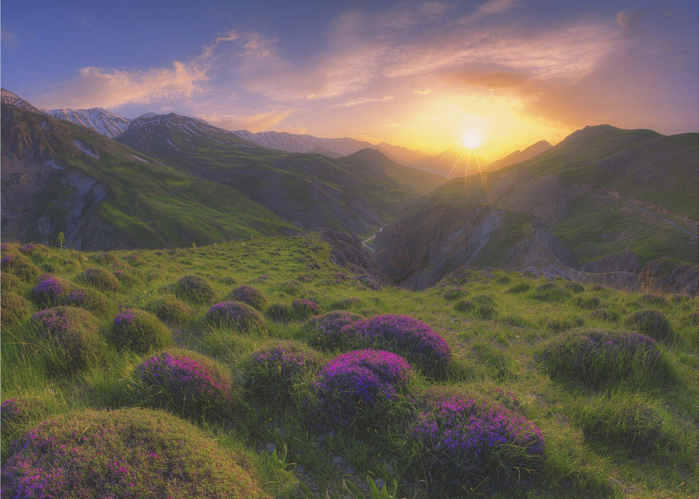 spring in show | Canvas