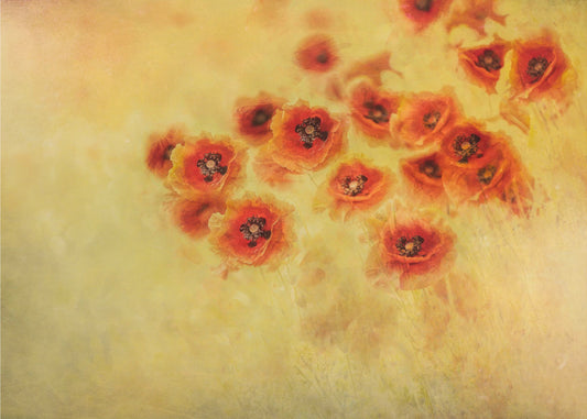 Summer feeling | Canvas