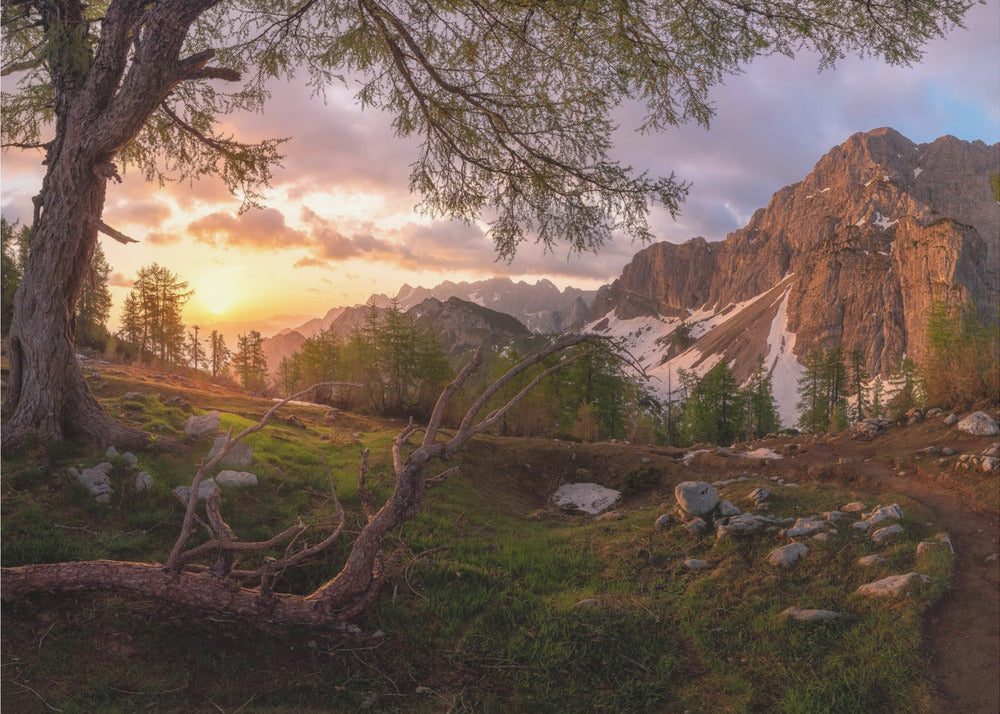 Magical morning | Wallpaper