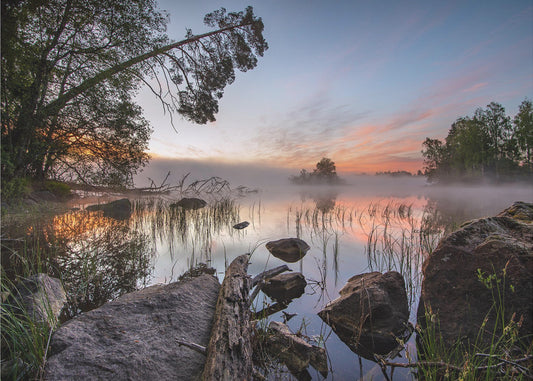 peaceful morning | Poster