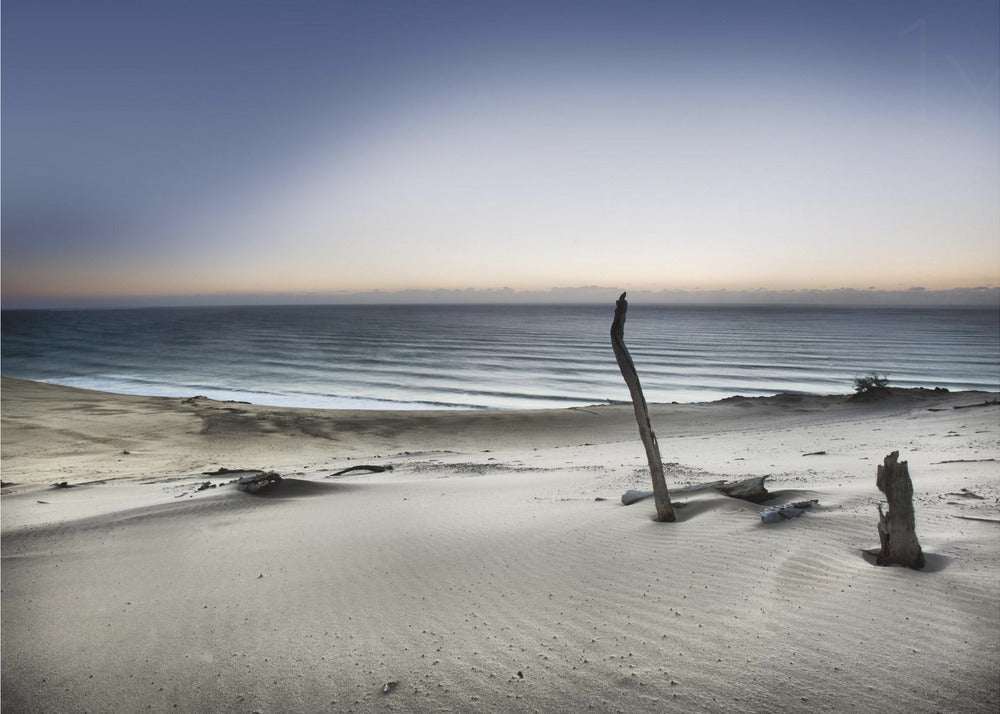 Reach for the sun | Poster