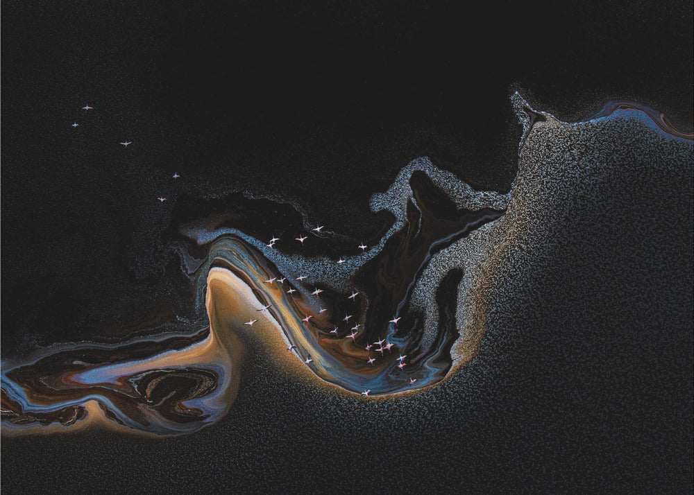 Flamingo over lake | Wallpaper