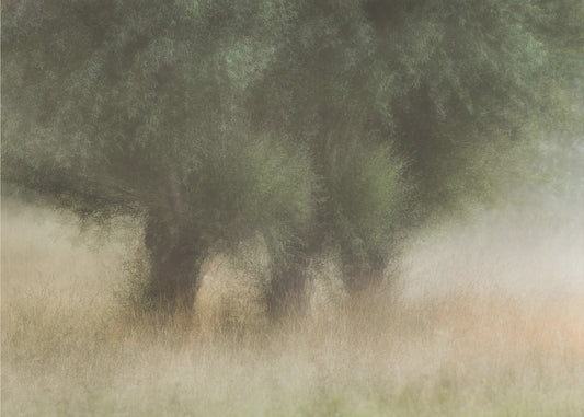 Three in a row | Poster