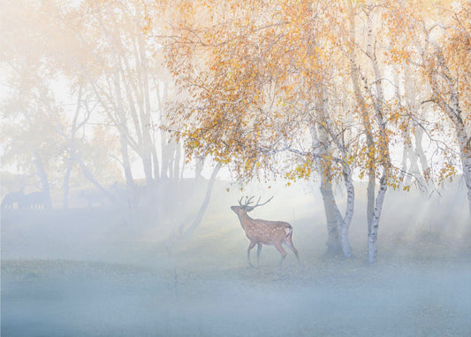 Elk Lost in Mist | Canvas