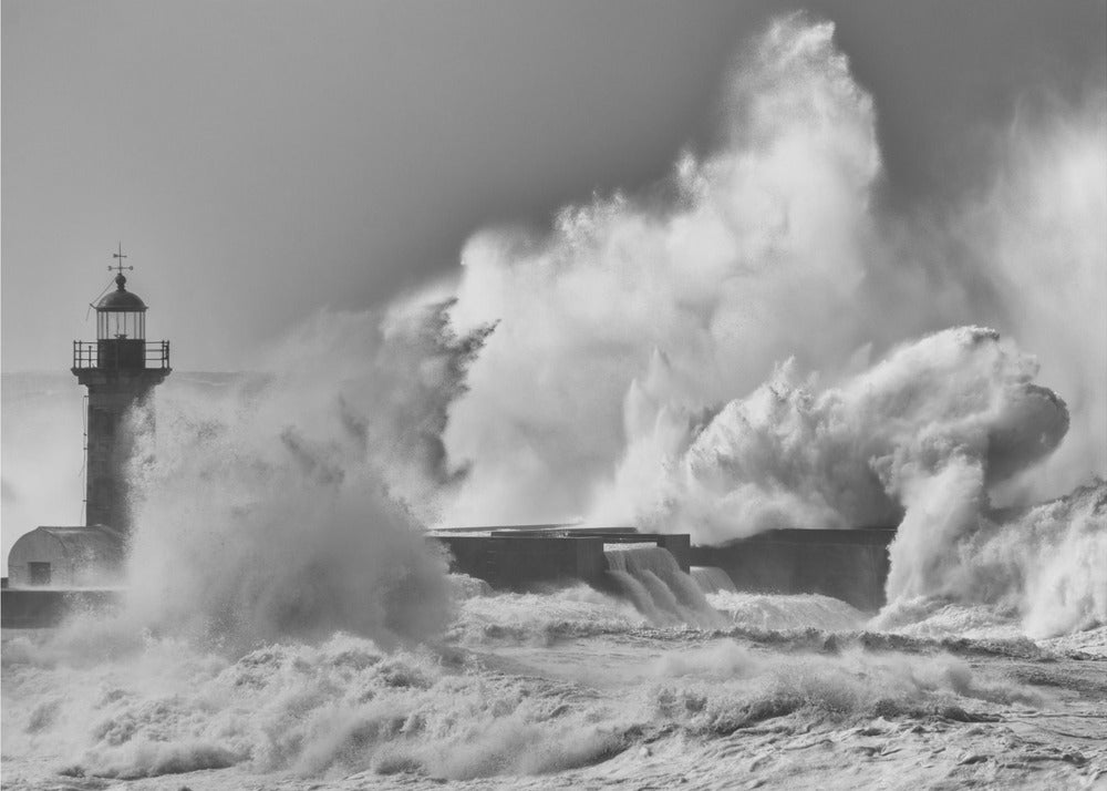 Whirlwind | Canvas