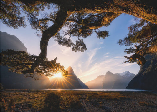Sunny Day in Milford Sound | Wallpaper