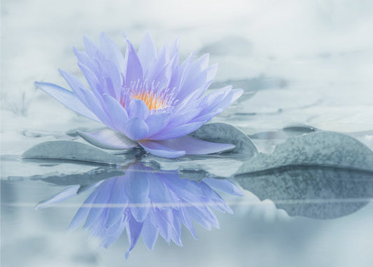 Reflection | Wallpaper