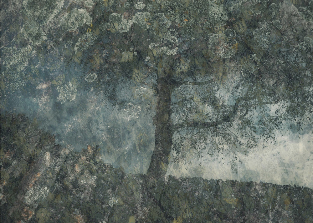 Rocks and a tree | Canvas