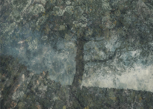 Rocks and a tree | Canvas