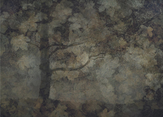 Dark forest | Canvas
