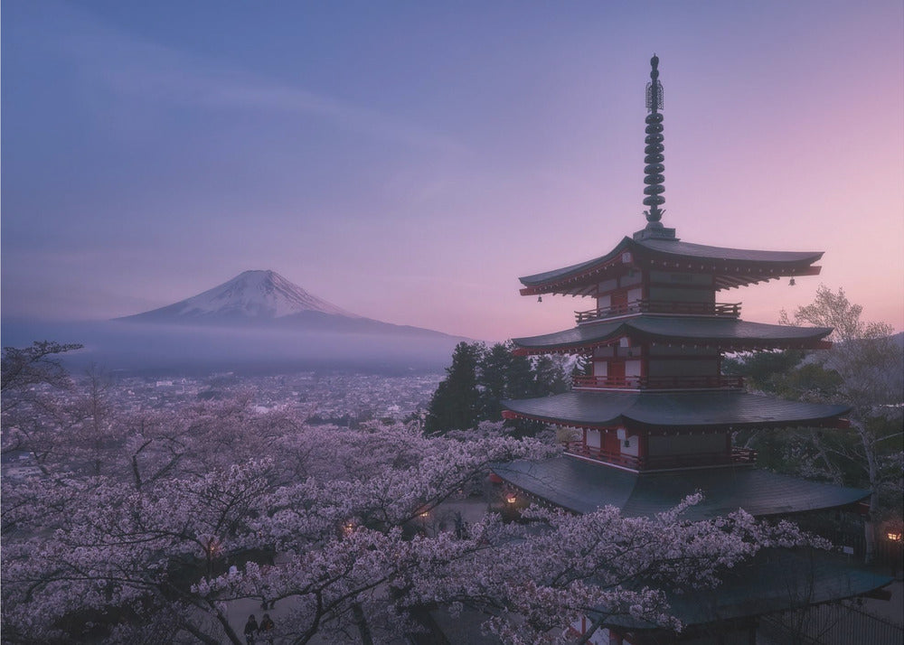 Mt Fuji Sakura | Wallpaper